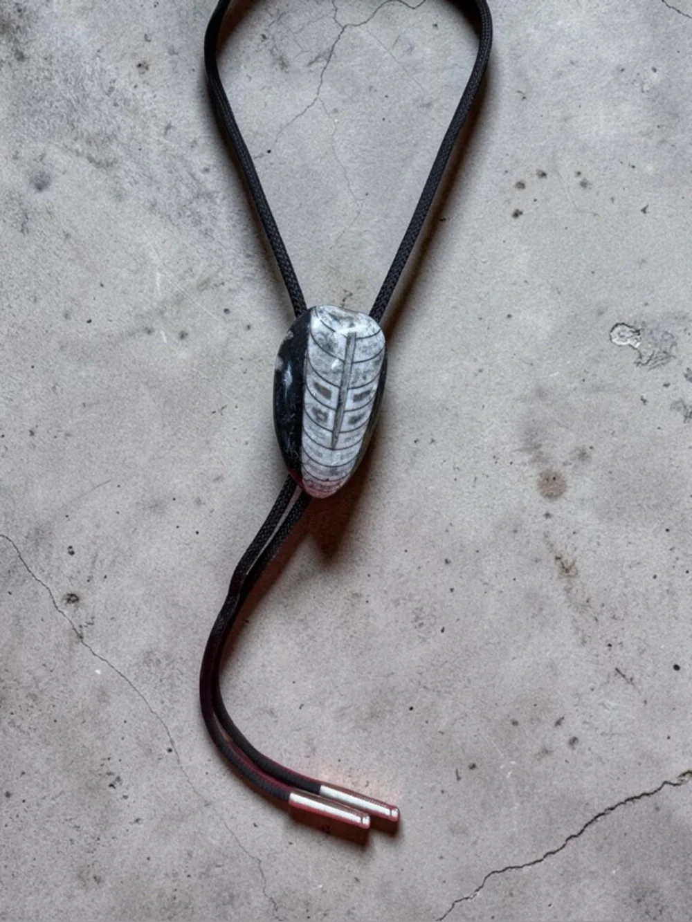 Bolo Tie Stone Fossil-Style Pattern Black Twisted Cord Silvertone Tips